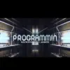 Big L - Programmin' (feat. Agbon) - Single